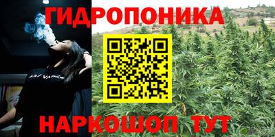 гашик Краснодар