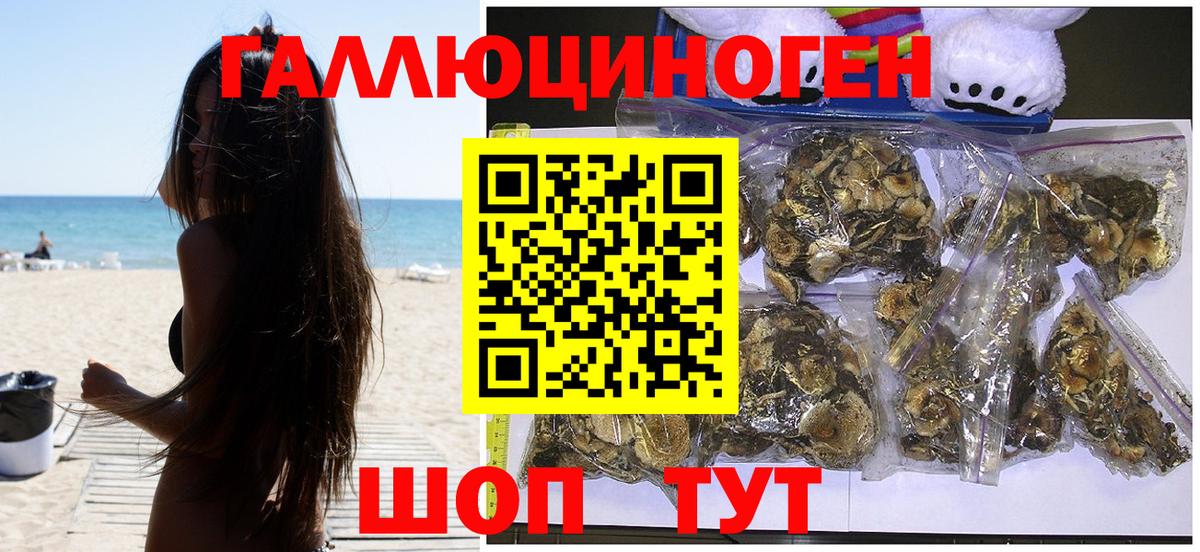 где купить   Псилоцибиновые грибы Psilocybine cubensis  Вход с VPN  Кировск 